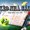 8kbet-Trải nghiệm đỉnh cao với casino trực tuyến!