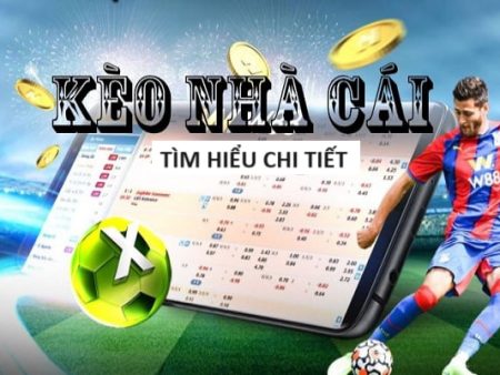 8kbet-Trải nghiệm đỉnh cao với casino trực tuyến!