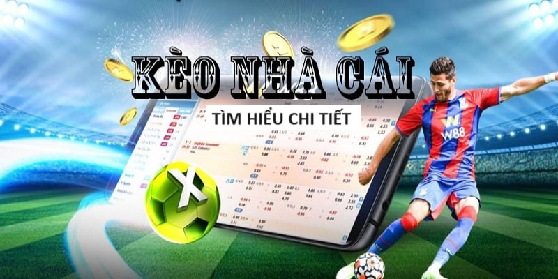 8kbet-Trải nghiệm đỉnh cao với casino trực tuyến!