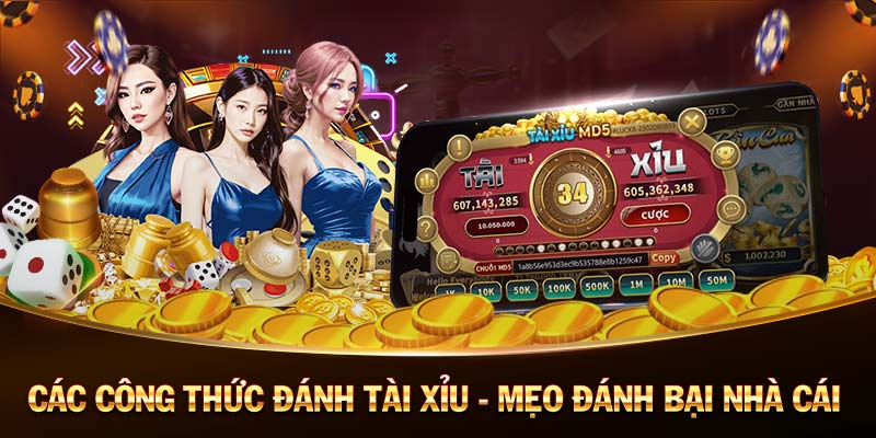 TOP88-Dễ dàng trải nghiệm với app Android／IOS!